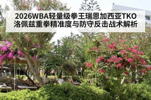 2026WBA轻量级拳王瑞恩加西亚TKO洛佩兹重拳精准度与防守反击战术解析